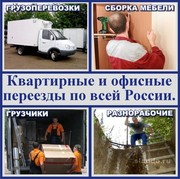 Услуги грузчиков,  разнорабочие,  такелажные работы в Калининграде.