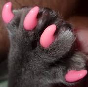 силиконовые колпачки на ногти для кошек и собачек