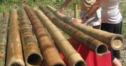 Бамбук в интерьере,  производство бамбуковых беседок